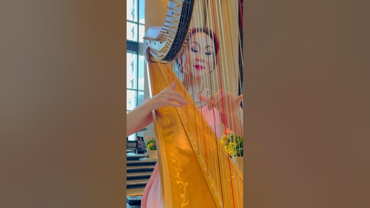 Eagle- Hotel California (Intro)on the Harp. Improvised by TongJuan Wang. #harp #cover #eagle #short Eagle- Hotel California (Intro)on the Harp. Improvised by TongJuan Wang. #harp #cover #eagle #short