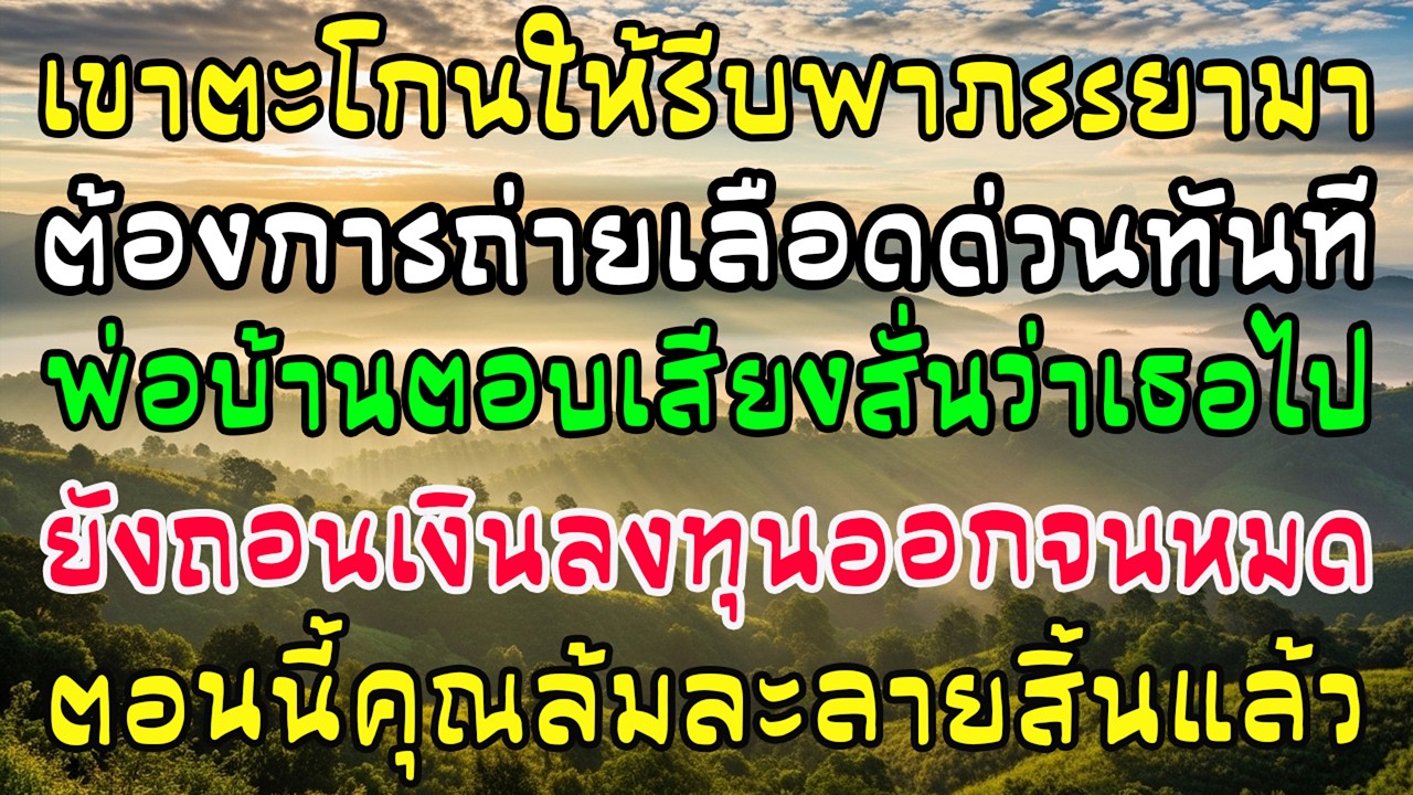หมอสั่งถ่ายเลือดด่วน เขาตะโกนเรียกภรรยา พ่อบ้านสั่นบอก—เธอจากไปแล้ว และถอนทุนแสนล้านหมด คุณล้มละลาย