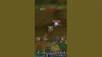 ⚡️2v2 FULL BiS Mage talks trash and finds out⚡️#worldofwarcraft #wowclassic #classicwow #gaming #pvp