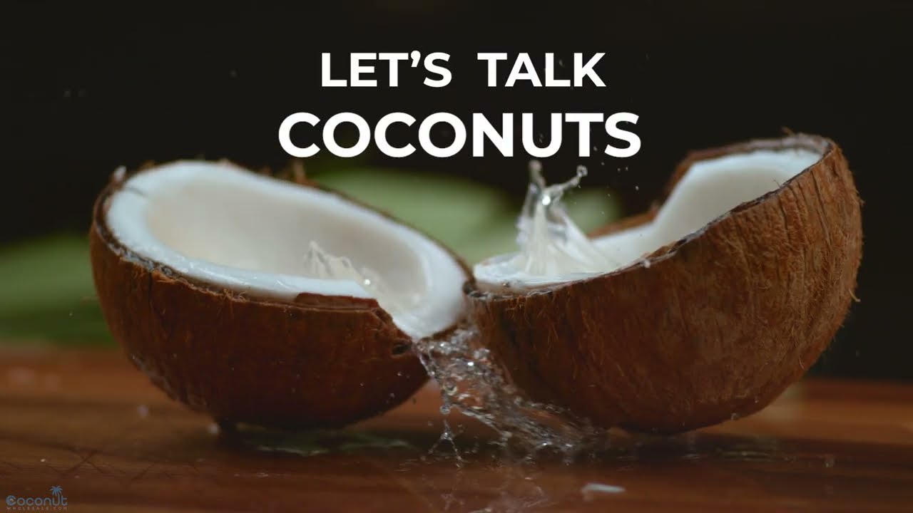 Coconut supplier | Cinthya Studios