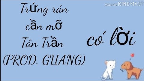 Trứng rán cần mỡ - Tân Trần (Prod . Guang)| lyrics video | Nhok Ỉn