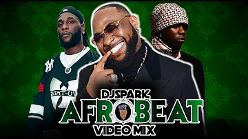 2024 BEST OF THE BEST NAIJA AFROBEAT VIDEO MIX BY DJ SPARK FT DAVIDO/ASAKE/OLAMIDE/WIZKID/SHALLIPOPI