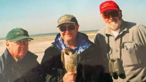 Falcon Propagation - David Jamieson  Produced by S...