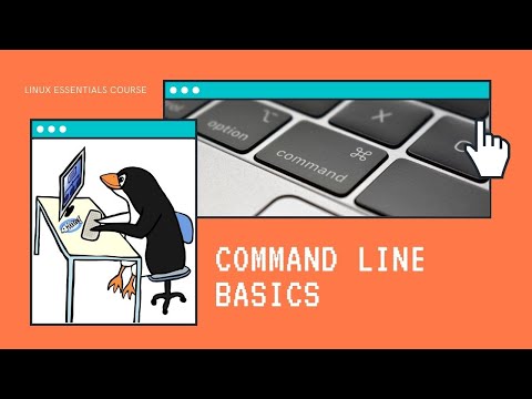 Linux Essentials Course - Command Line Basics - terminal, shell, prompt, command structure