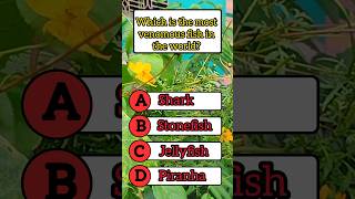 Which is the most venomous fish in the world?#GK #GeneralKnowledge #Quiz #QuizTime #WorldGK