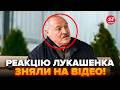 🤯НЕАДЕКВАТНИЙ Лукашенко ПІДНЯВ КРИК! РОЗЗЯВИВ РОТ на НАТО: дістав ОРЕШНИК. На камеру ЗІРВАВСЯ МАТОМ
