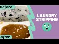 #QuaranCLEAN: Laundry Stripping | Deep Cleaning My Husband's Undershirts & My Gym Pants