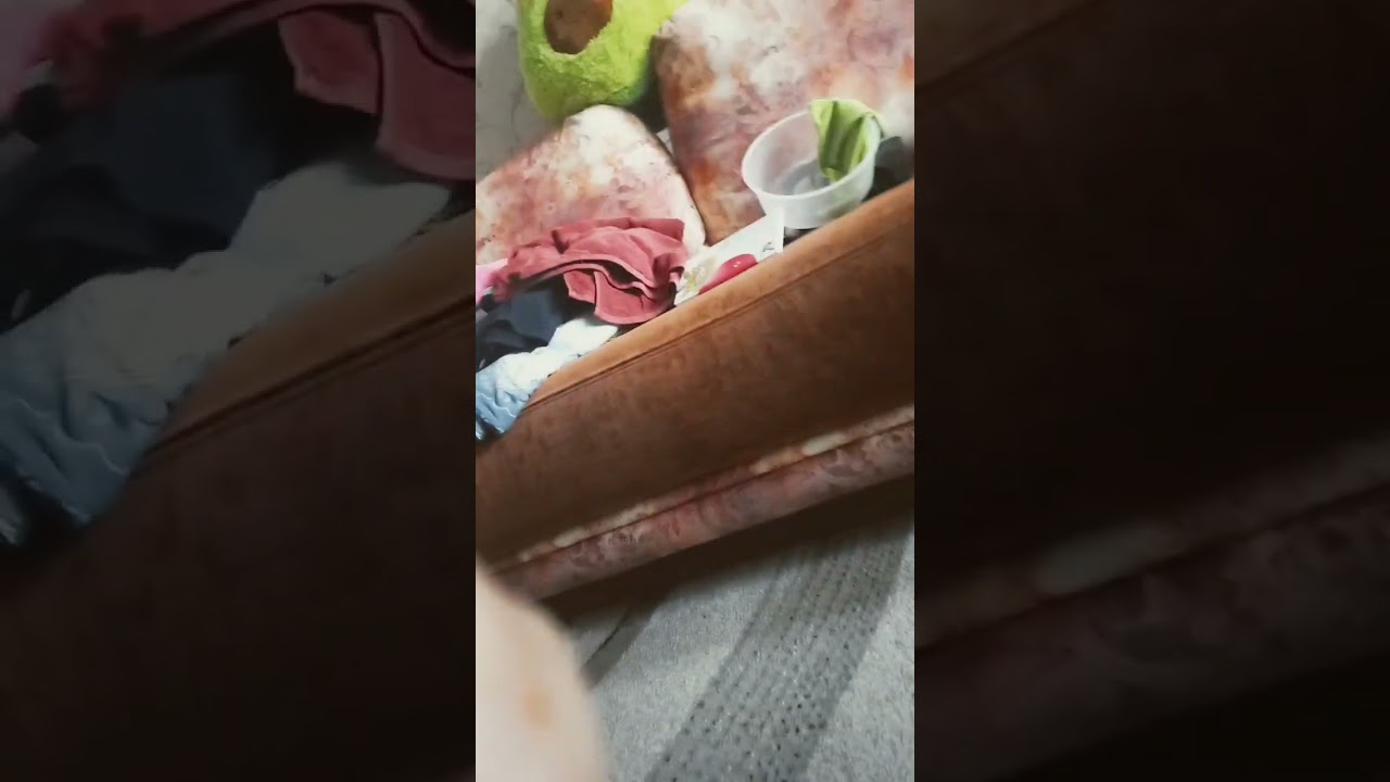 27 июля 2025 г.