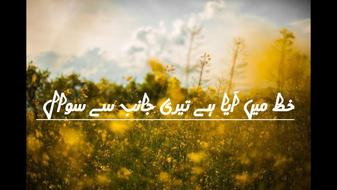 Tea lover best poetry ❤