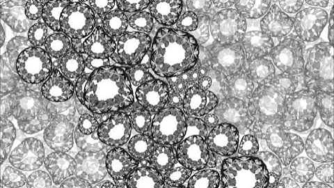 Imaginary Vicsek Model