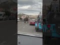 Elephant stops traffic after escaping circus