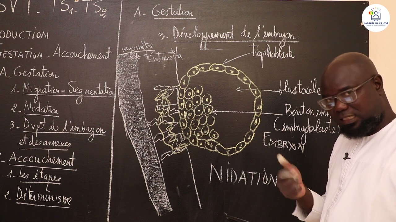 Cours - Terminale S1&S2 - SVT: Résumé de cours / Gestation - Accouchement / Suite 1 / M. Gnasse