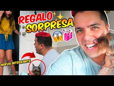 REGALO SORPRESA A LEYLA STAR!!🎁COMPRÉ UN PERRITO 🐶  | OSO 🐻