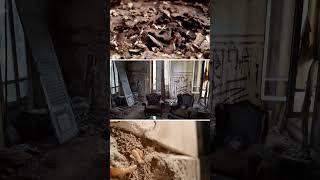 Wooden cabinets dropping dust? Your house might be under a termite attack