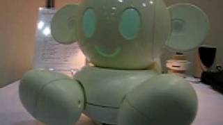 [ICRT08] RayTron - Chapit - Natural Communication Robot
