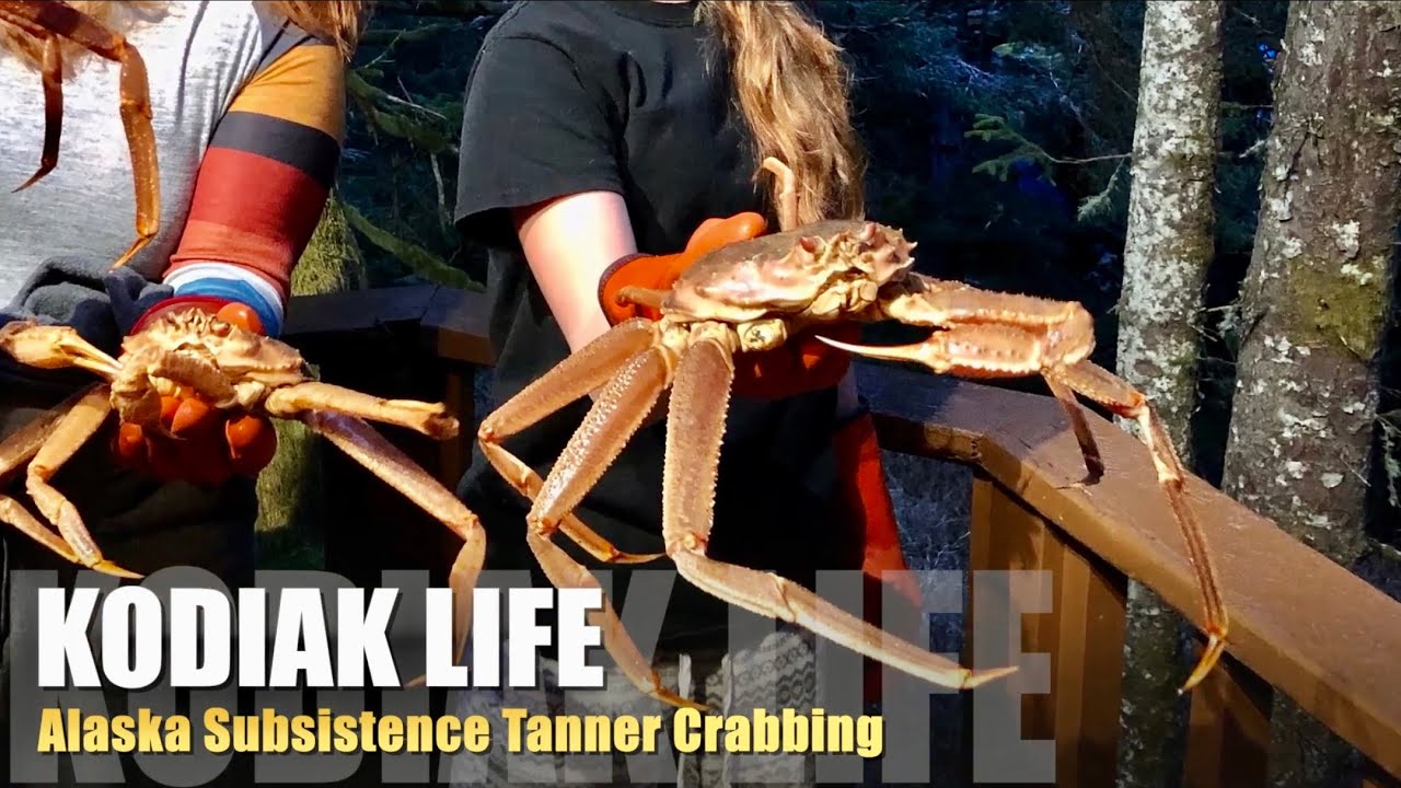 🛥 Ловля крабов-кожевников на Аляске в Кадьяке! 🦀