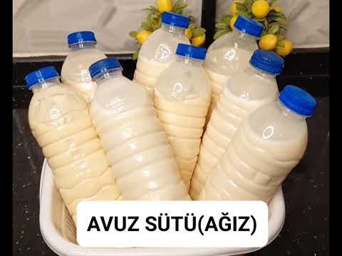AVUZ SÜTÜ(AĞIZ) Kuvvetli
