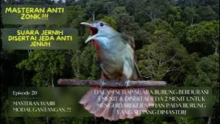 MASTERAN ANTI ZONK Part 20. FULL TEMBAKAN PEDAS KAPAS TEMBAK   JEDA ANTI STRESS