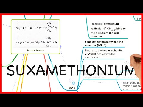 SUXAMETHONIUM -PHARMACOLOGY SERIES