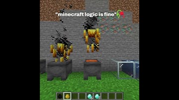 Minecraft Logic That Makes Zero Sense 😭💀