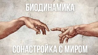 Биодинамика - сонастройка с миром