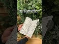 アスクル【レビュー検証】蛍光ペン1本で塗り絵してみた #shorts
