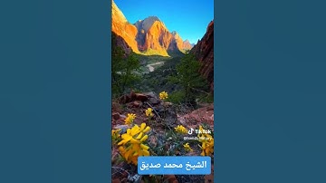 تلاوة رهيبه للشيخ    محمد صديق المنشاوي رحمه الله  /    آيات من سورة لقمان