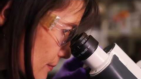 Corning® Matrigel® Matrix: Thin Coating Method Best Practices