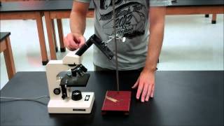Microscope Camera