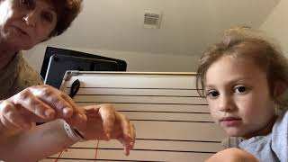 THEORY 1 Review of middle C position and bass clef notes