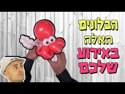 ברק דגן - אומן בלונים לאירועים