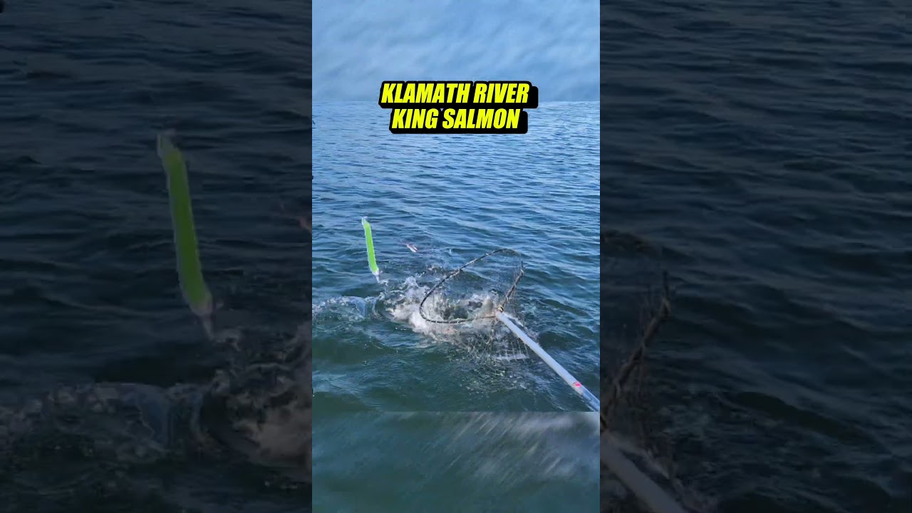 Klamath River King Salmon Fishing with Captain Jerry Lampkin