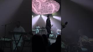 Malik Djoudi - Vivant - Montpellier - 7 Fev 2025