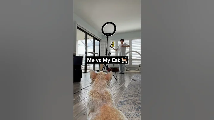 Me vs My Cat: Dancing 🤣🐈 #TheManniiShow.com/series