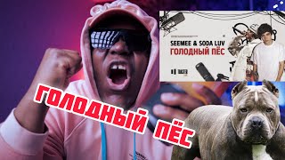 SEEMEE &amp; SODA LUV - Голодный пёс | Toaster Live | РЕАКЦИЯ ИНОСТРАНЦА