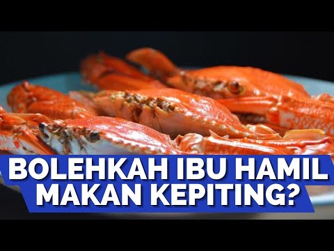 Video: Apakah Aman Makan Kepiting - Informasi Tentang Makan Kepiting