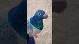 hello pigeon🐦‍⬛ #kidscontent #toddlers #kleinkinder #tauben