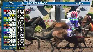 Vidéo de la course PMU PRIX REMUS