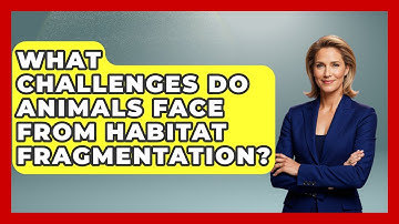 What Challenges Do Animals Face From Habitat Fragmentation? - Explaining Ecology