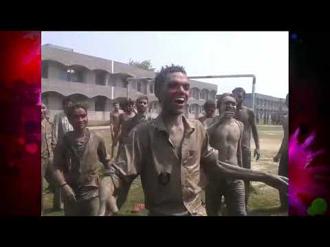 Navodayan Holi