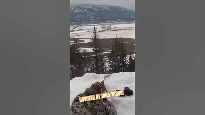 Dispatching Coyotes from 1085 yards! - Long Range Hunting