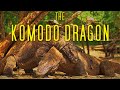 Last link to the dinosaurs the komodo dragon 4k