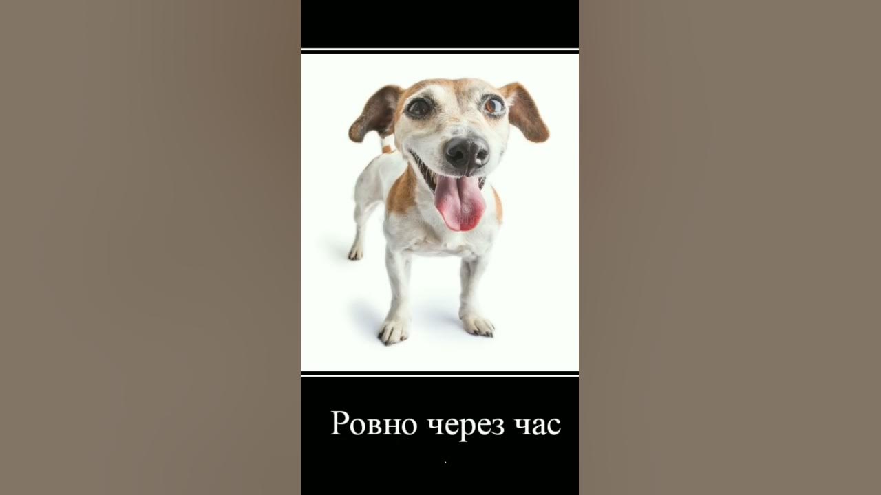 Стар платинум зе ворлде - YouTube