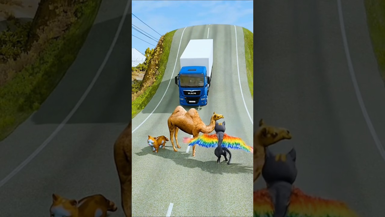 Big & Small Cars & Truck VS Camel & Cats - BeamNG.Drive 