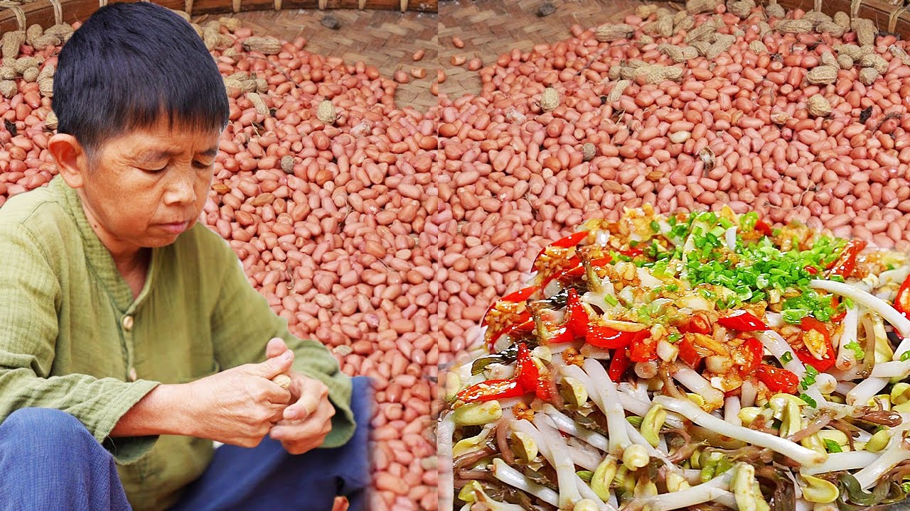 破土萌生一芽新，鲜嫩肥美飘芬芳。摇身一变为菜肴，垂涎欲滴不容缓