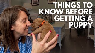 Owning A Dog - Things To Know Before Getting A Puppy