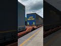 vzácný druh vectrona (v jmk) #shorts