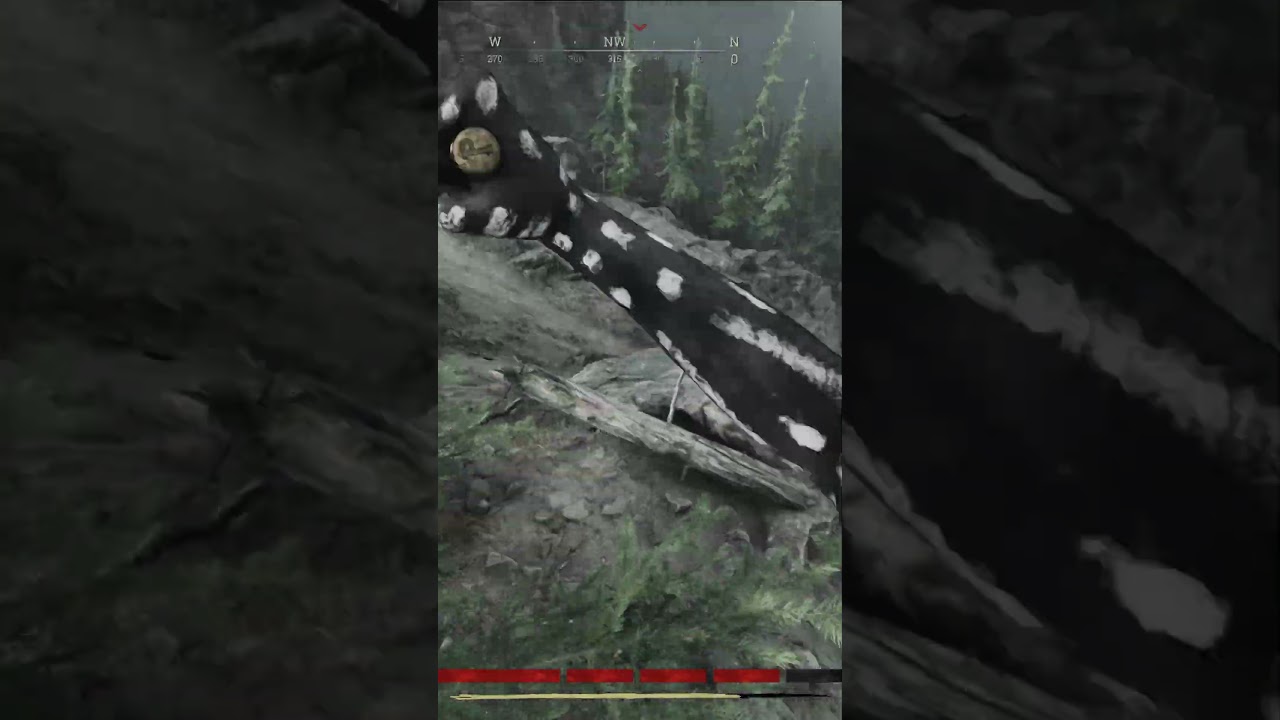 Hunt Showdown 1896 Funniest Scary Encounters