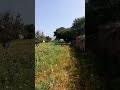 قل ثلاث مرات اللهم إقضي حاجتي وفك كربتي وفرج همي القرآن الكريم اكسبلور تيك توك اقنباسات دويتو