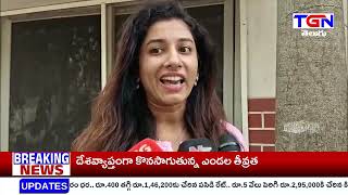 సోషల్ మీడియాలో సెలబ్రిటీలను లక్ష్యంగా చేసుకుని వేధింపులకు గురిచేసే ఘటనలు  II TGN NEWS 14